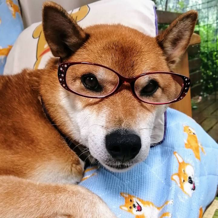 4154e332 4269 40e6 81cb 82321edabd01 1631930193850