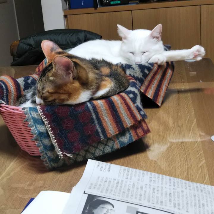 4154f08a 3ae9 42df a38b a0fd115ae82b 1637196783085