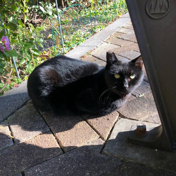 4154f57f c936 4385 a415 d9cc515fd3cc 1643873042379