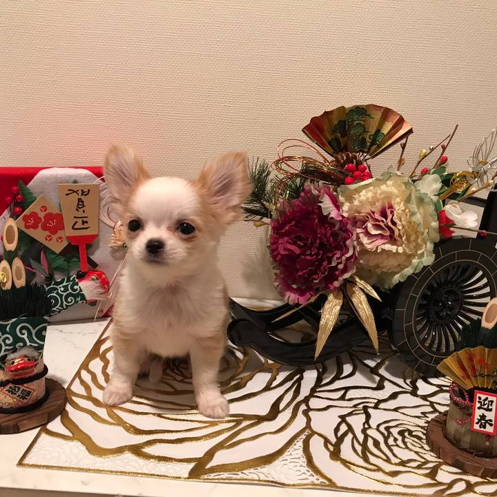 415508a8 fcba 45e3 a459 f75f573d0656 1515315551725