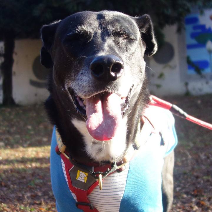 41550dbd 69f1 4c06 9b01 272b1e6e599c 1701909953273