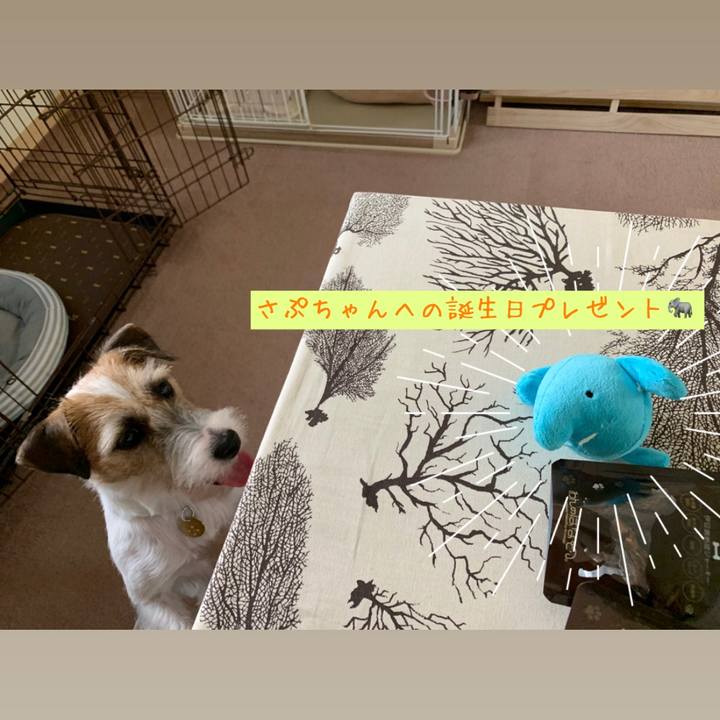 4155227e 1a18 46a7 9c86 88bd3598e7a3 1598767410963