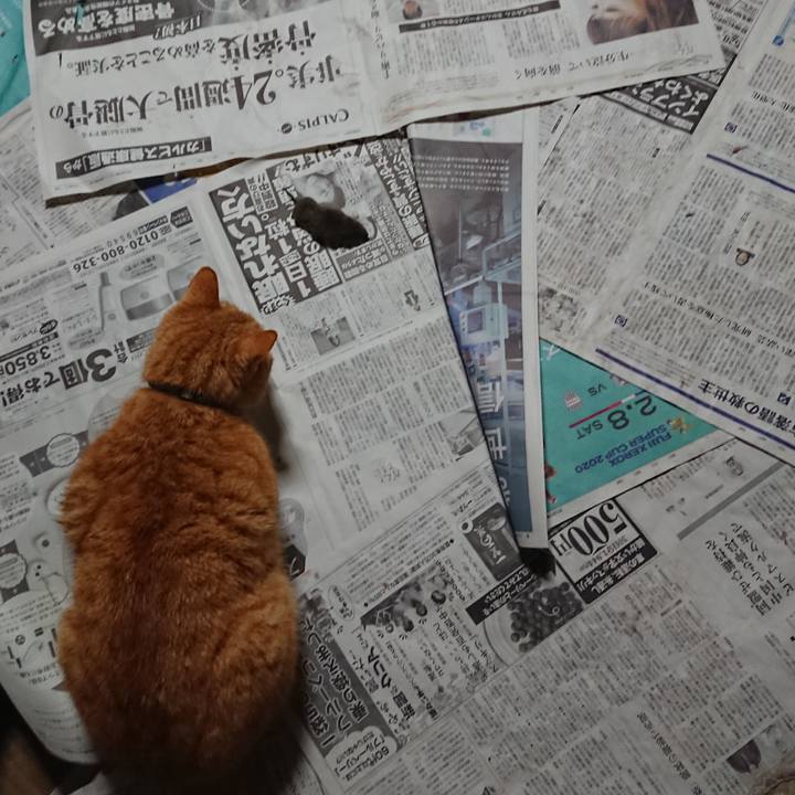 41554405 99ae 443a b079 c941946e9940 1583871920162