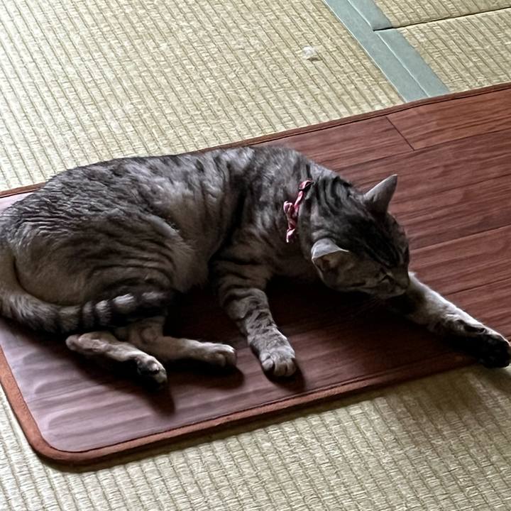 41554452 cdb1 4439 8bce 011d7c2e9151 1738553587855