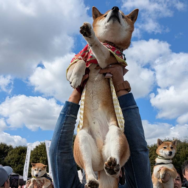 41554afd 9aae 4d87 a726 45b8bbe9adf8 1741617496511