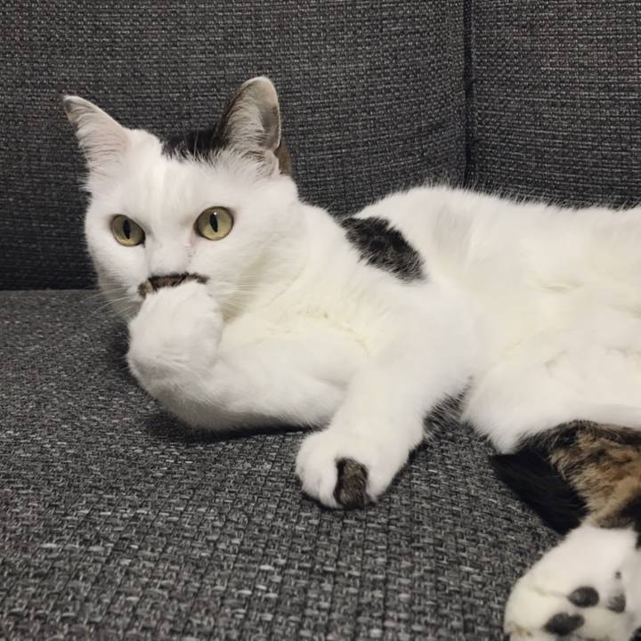 41555f26 35a6 4b85 82ef 5dc3abd474bb 1557287510898