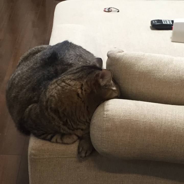 4155bb1b 1a13 4dfd ad86 602c4c1cca95 1594785415124