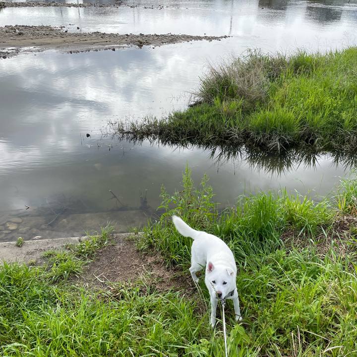 4155bc7c b32b 4012 afa0 0c1d1ef8f62b 1746836866207