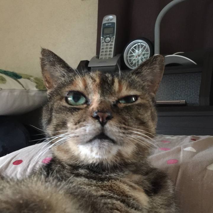 4155bf35 3305 46f5 8d59 be319e08c03a 1563253854352