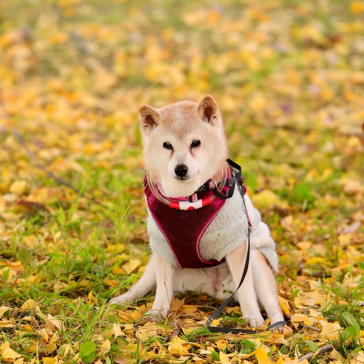 4155bf9d 0eb4 4a9e 8af9 d065bc667585 1764086548628