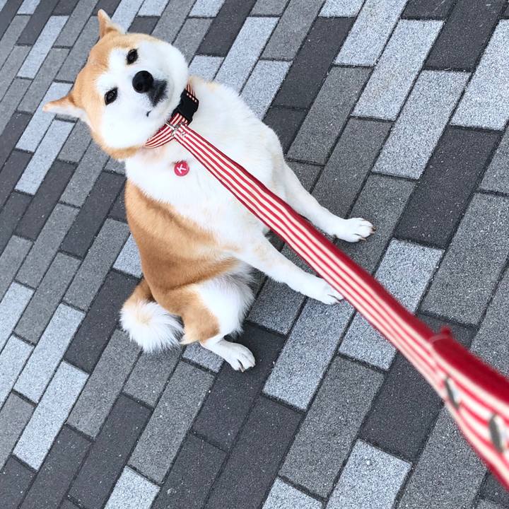 4155c748 3a86 4cc3 82d7 589acb34f910 1558836556412