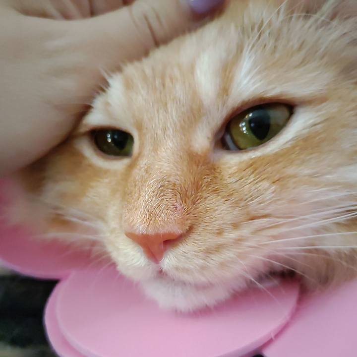 4155ebb8 946f 4ad5 9a8e 63bcca08a781 1687224893991