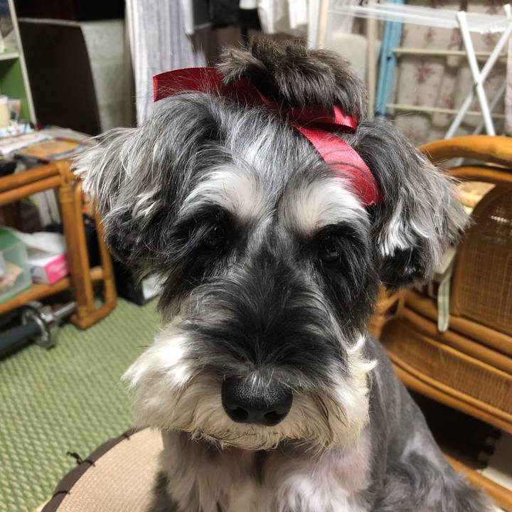 41561cd5 c010 497e b8e0 b49f19cd9b9b 1538037028567