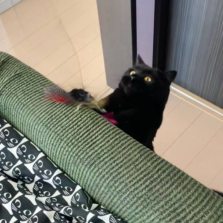 4156336a dc0b 45b8 961d b86acd72297b 1632094949590