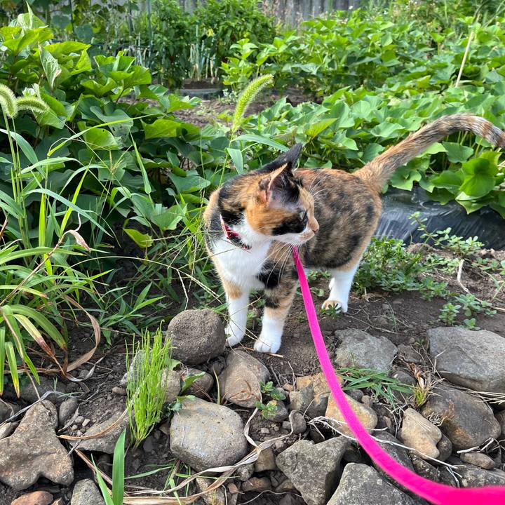 41569394 3457 4227 89e4 ba9d9ca76038 1691495053147