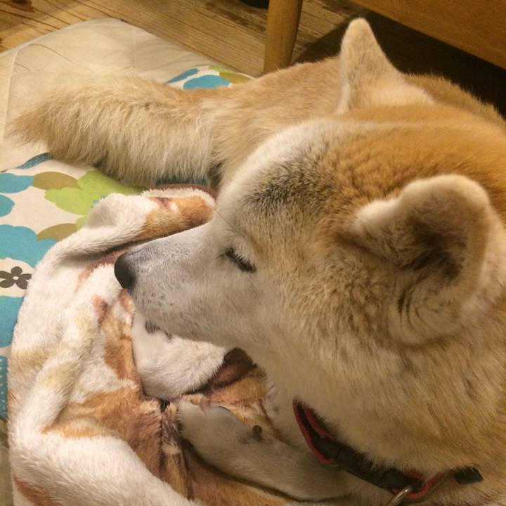 4156a2cb a868 4232 a560 d1973b8174db 1581256180555