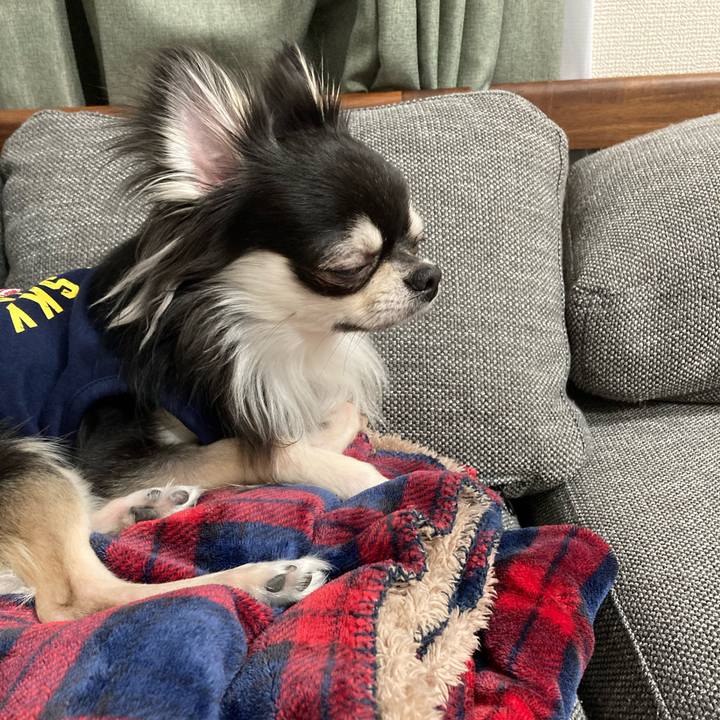 4156a8eb c8d9 4c4b a450 df9669ba4cce 1616939503389