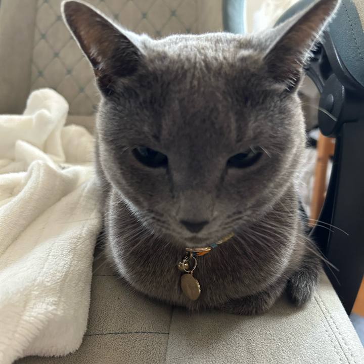 4156d6c0 de4b 494f 94b2 5f395f06fc12 1701562700245