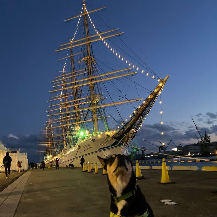 4156f3d2 efd1 47d0 93de b0a0338dba56 1613571396208