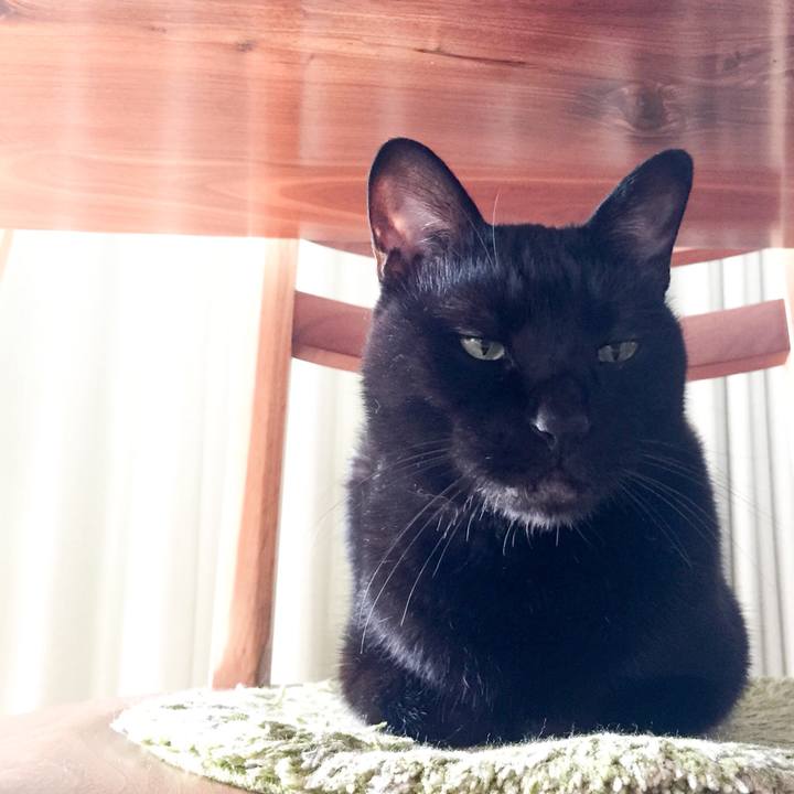 41573de9 d676 4ccc 9c9e 5d0859e17b4e 1568442762714