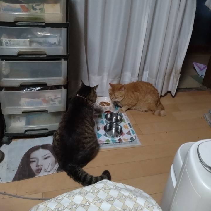 41574a0b 0c53 44c6 b2e7 7c396ad6f650 1721426980953