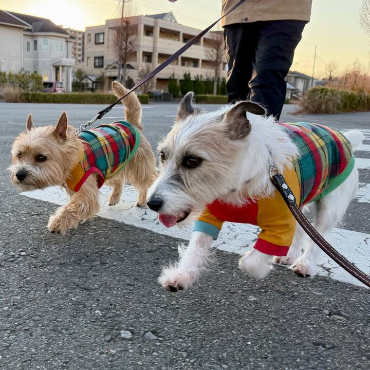 41578b76 2eb7 4acc bcb8 1c2763cff853 1767129266704