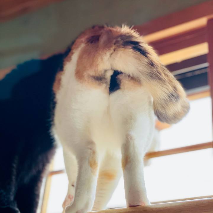 4157abb8 50fc 4275 a768 4c1299e3487d 1615775017928