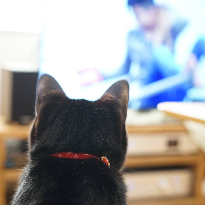 4157c091 a2e0 4700 8de2 58dc54beaaa2 1549933167784