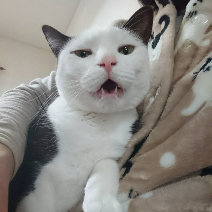 4157e605 0a4f 4994 a278 cf68bc53a25a 1516324099359