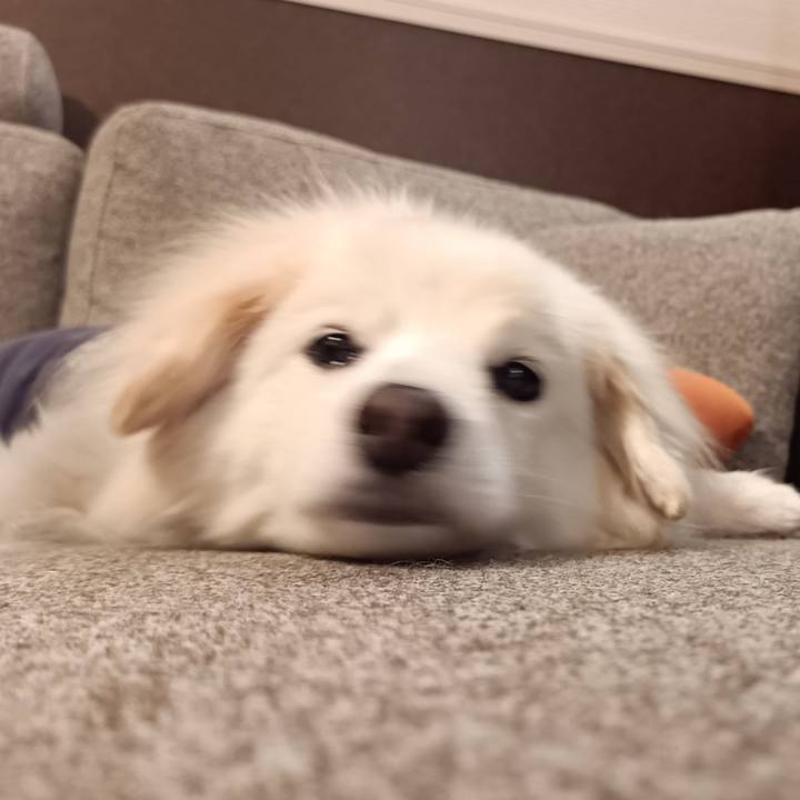 4157f32c f181 4be0 a963 2ccba7eb8931 1735682416826