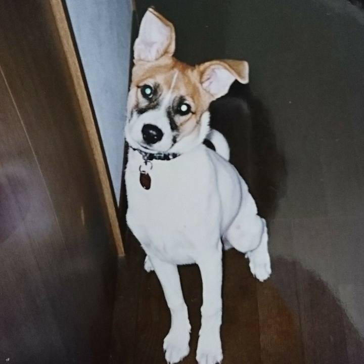 41580b60 eaff 4649 b484 199d2d60df77 1540296666636