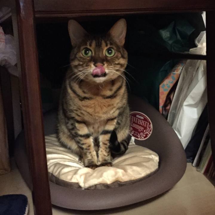 4158354f 45cf 4ba6 9e40 6ee3db3758f5 1514930960953