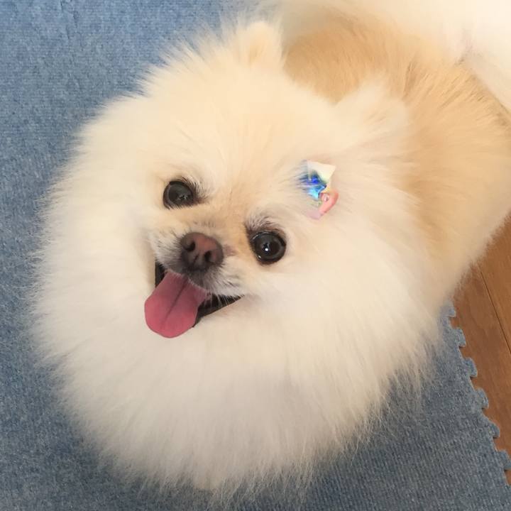 41585dbe b862 42aa b7d8 2632b7658d25 1599202984684