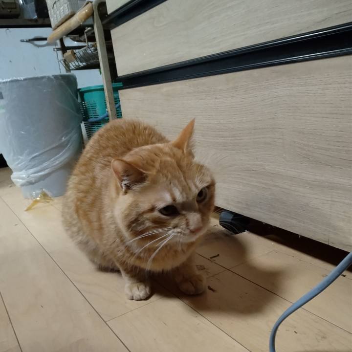 4158ac4f 6a1f 46ab bf44 3272d055bc07 1673044330290