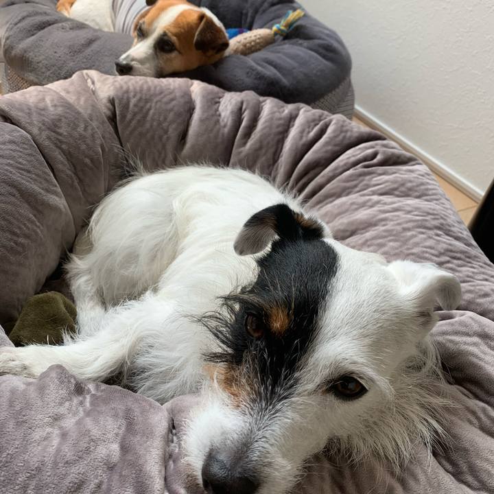 41594104 0cfc 470b bde3 e7f0d82bed69 1587959369481