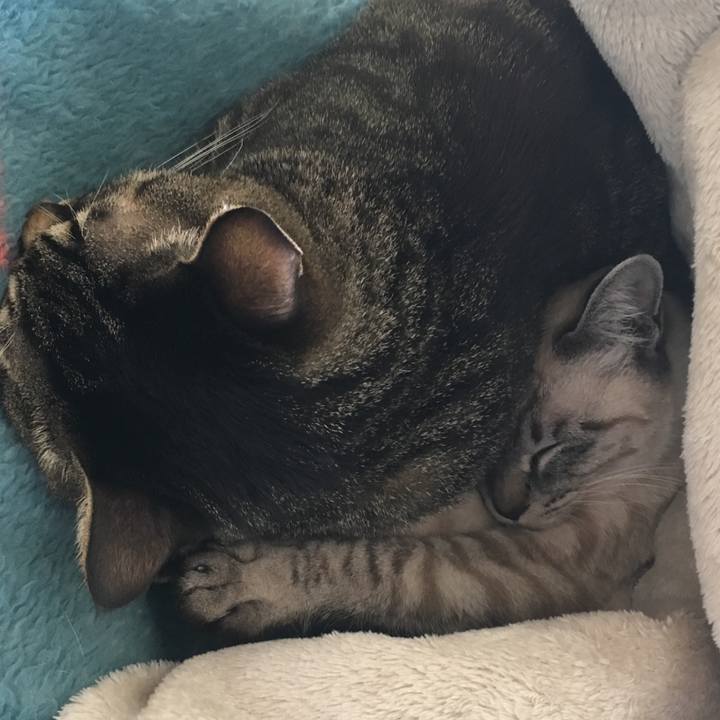 4159665d 0e77 4696 8578 84b8018333ae 1548823186293