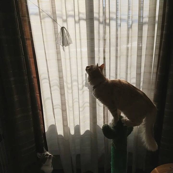 41598428 b83f 4375 bb6b eca816c5e2b8 1641099396663