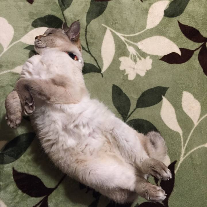 4159e126 6aa6 46ef a8be 98fbe6ab79ff 1586033863599