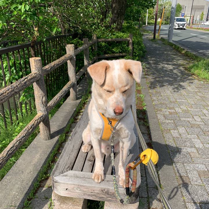 415a2d97 7138 483b a966 ffbab5e9fb71 1556849946394