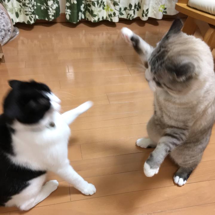 415a4835 d244 44fc 9e5f 80b2e87bf5fb 1512783815504