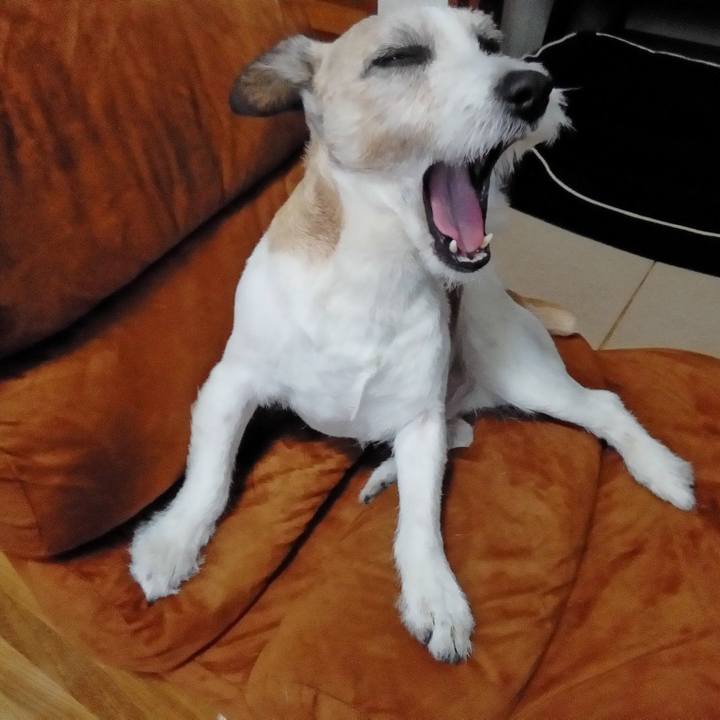 415a4877 b369 4f91 8bda 5e2922a5957d 1592221616904