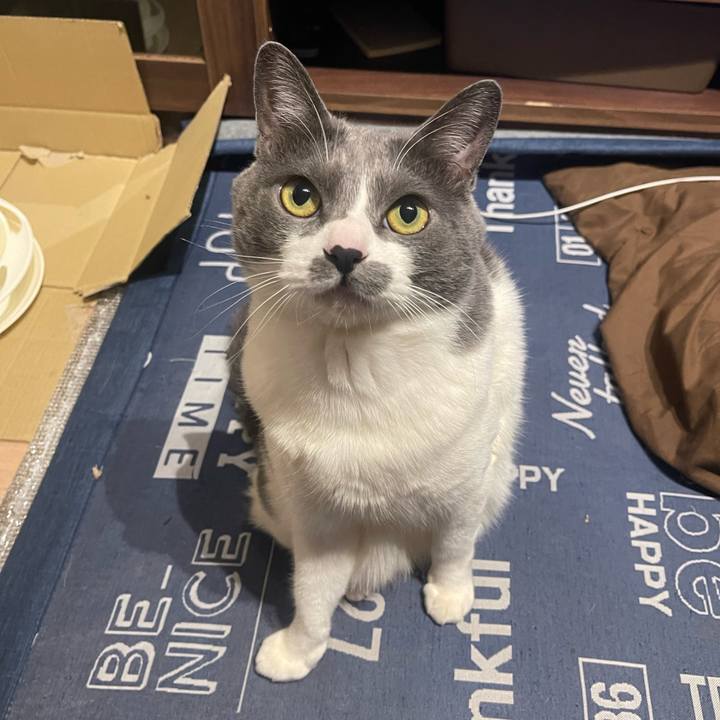 415a7576 3ae1 49f6 a1d9 1d6acb8194ea 1711025534533