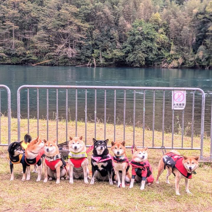 415a8914 9a21 4202 b704 c915c8f66cdd 1727670756938