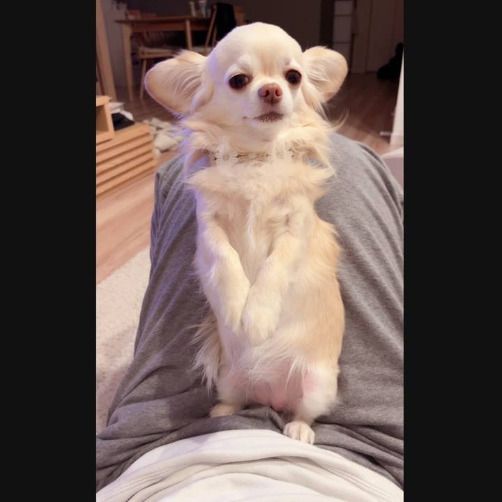 415a8af5 7389 4435 b609 60775e84e7b8 1737203252256