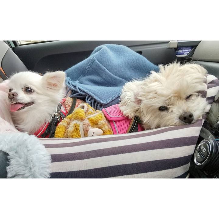 415aa5df 2768 4771 87b7 fe2ca1659dbb 1645278337578