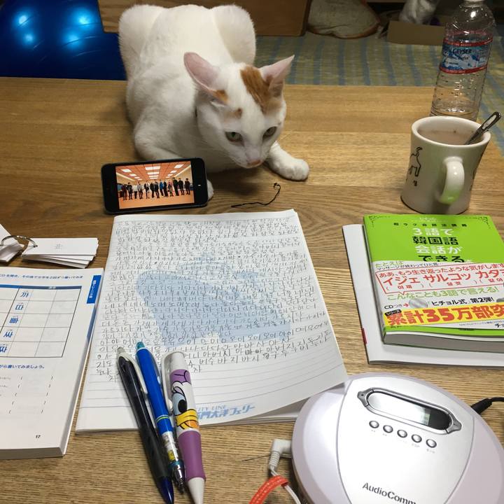 415b14f3 bce7 4b7c 858e 34ccf1782773 1539089409909