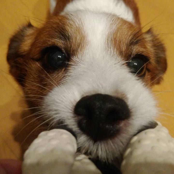 415b2a8a ba12 43c9 b975 0581a58bf4f0 1535369091628