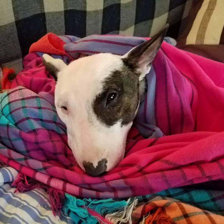 415b4519 d07d 4b1d 9b95 bf915f6ec60a 1530540044103