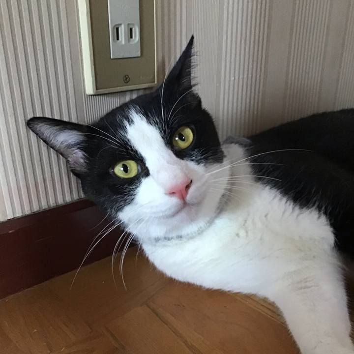 415b510f 8506 4b8d 94de 8d70bc735b4d 1659505207323