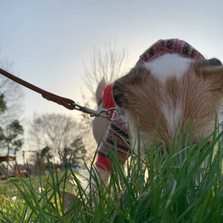 415b692c 3087 4b5d b631 3d233689a139 1678534955555